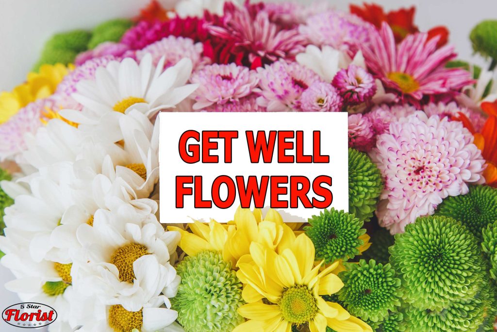 get well flowers Winston-Salem